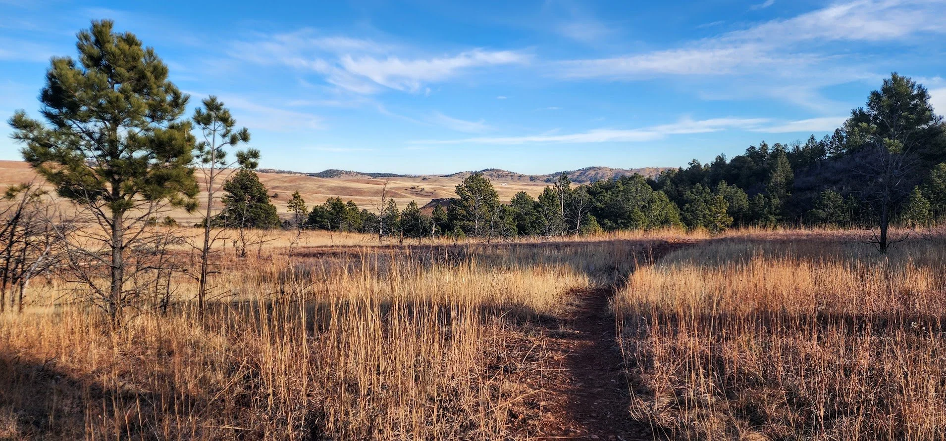 Hiking the Bison Trail/Red Dog Trail in Custer State Park
