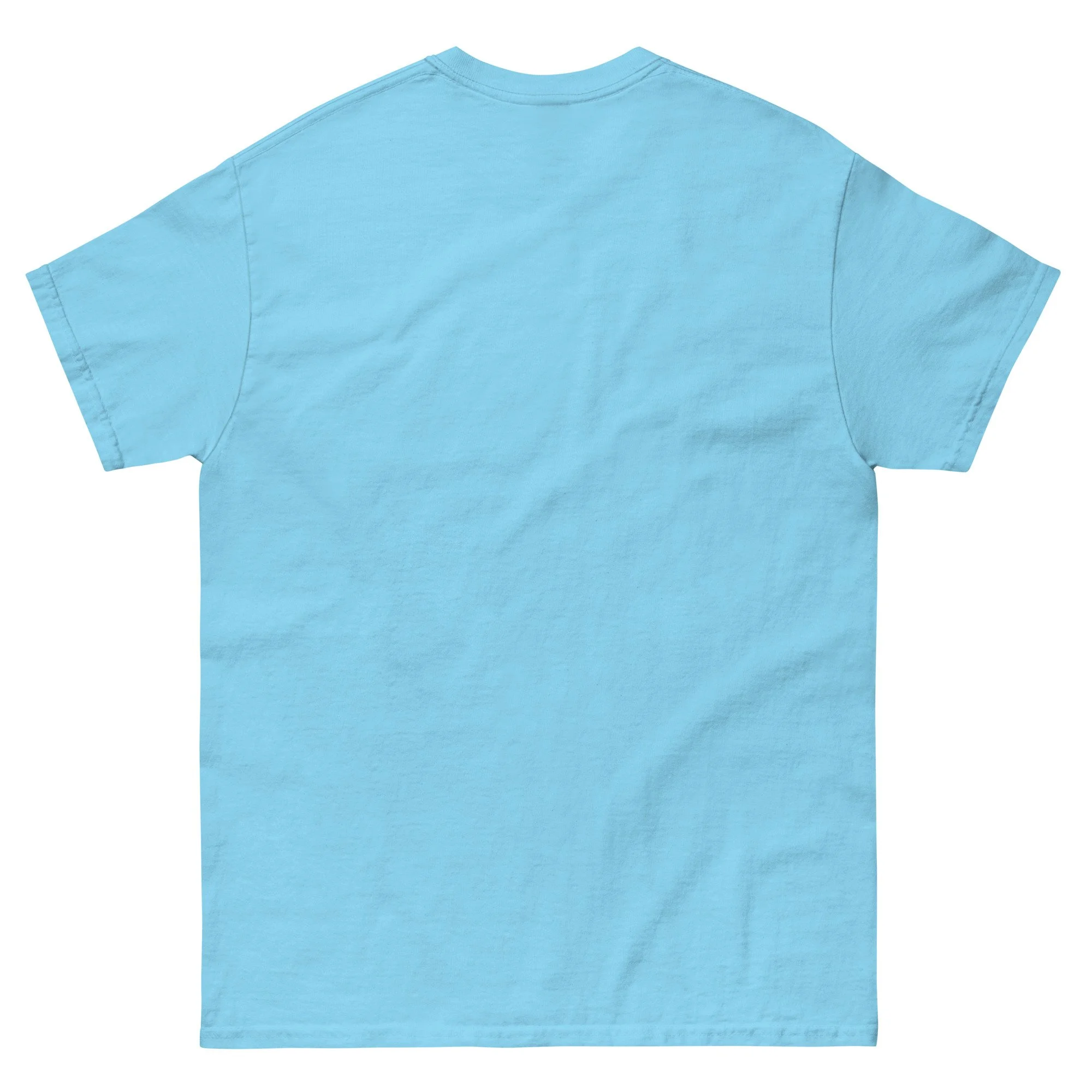 unisex-classic-tee-sky-back-6a544392761bc.jpg