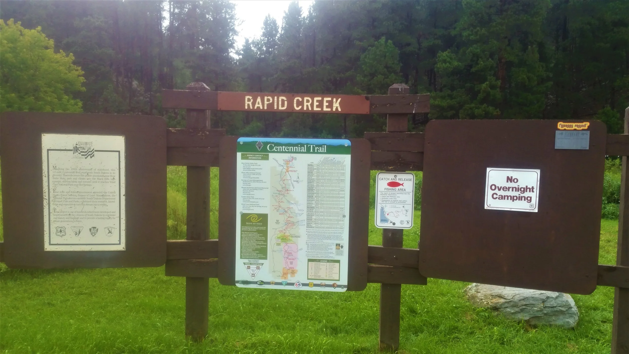 Rapid1.jpg