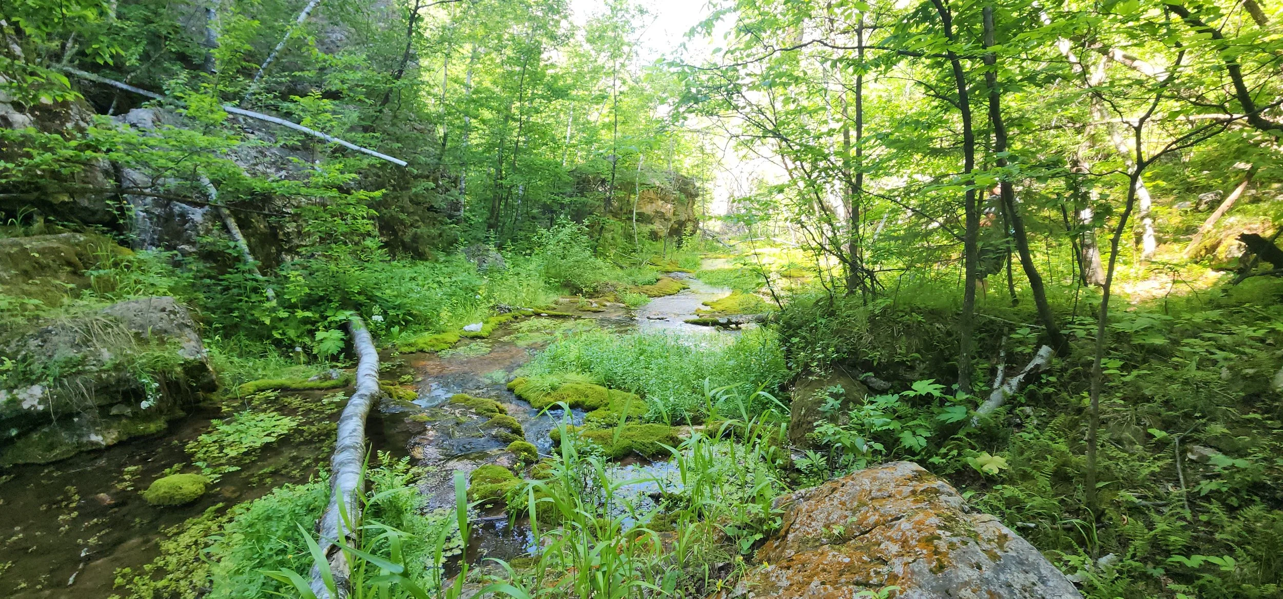 20250628_155649.jpg