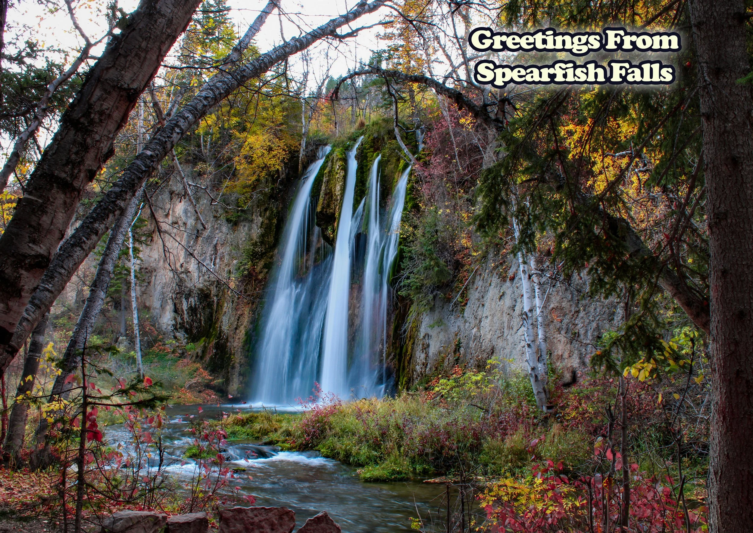Spearfish Falls Postcard copy.jpg