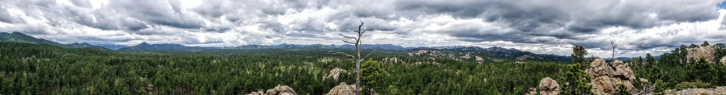 20190720_135534(1).jpg