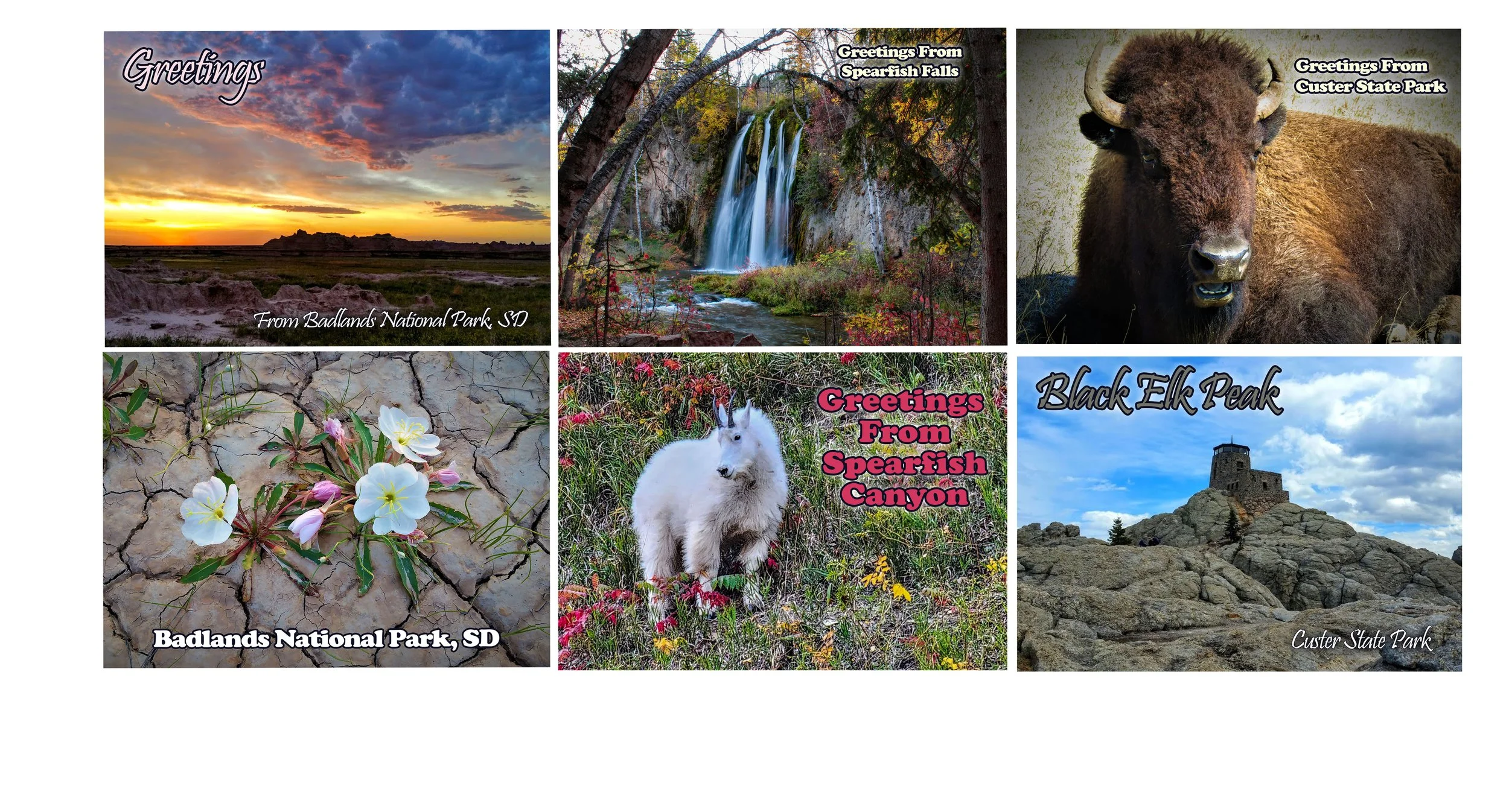 6 Postcards copy.jpg