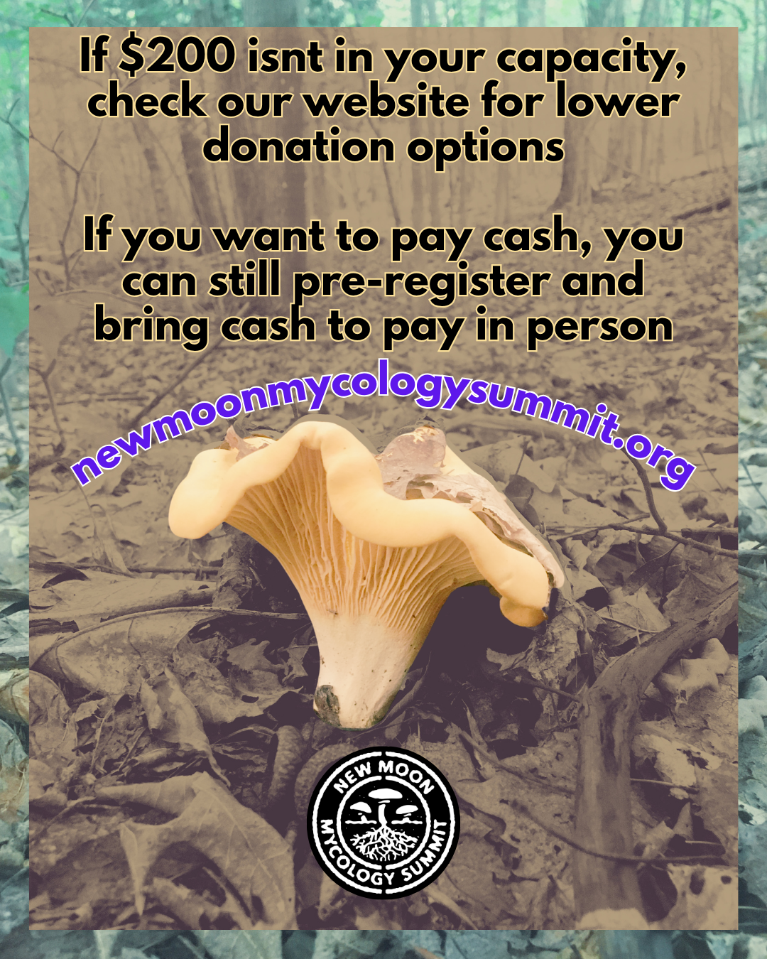 nmms-3 (1).png