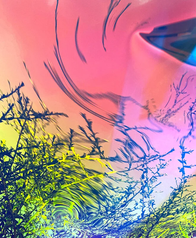Branches