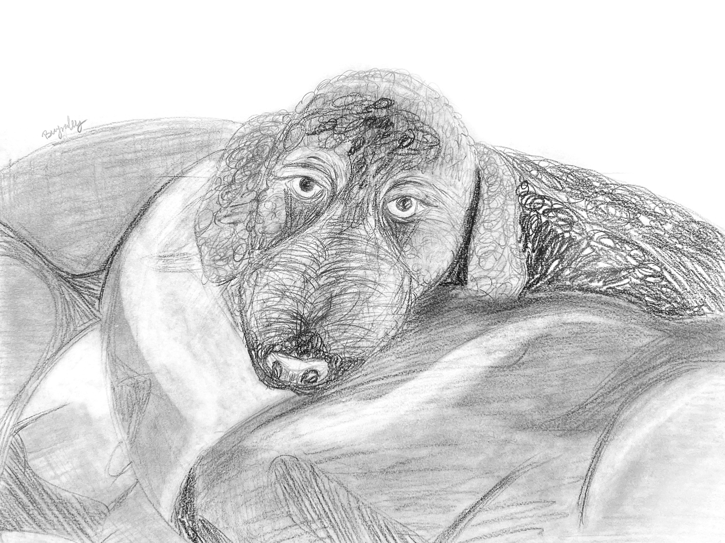 Drawing student work Artful edge academy