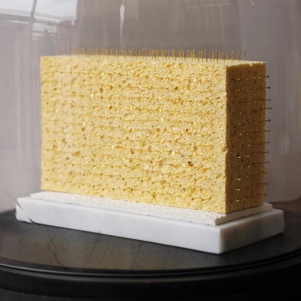 32 Sacred Sponge #2.jpeg