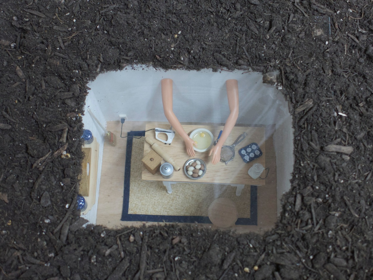 48 AnneMourier_L1010625.jpeg