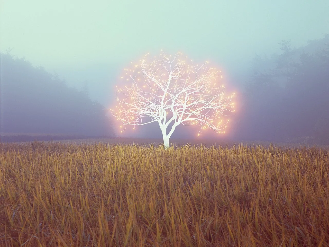 Tree of Life 1-2-2. 2018. C-Type Print.jpeg