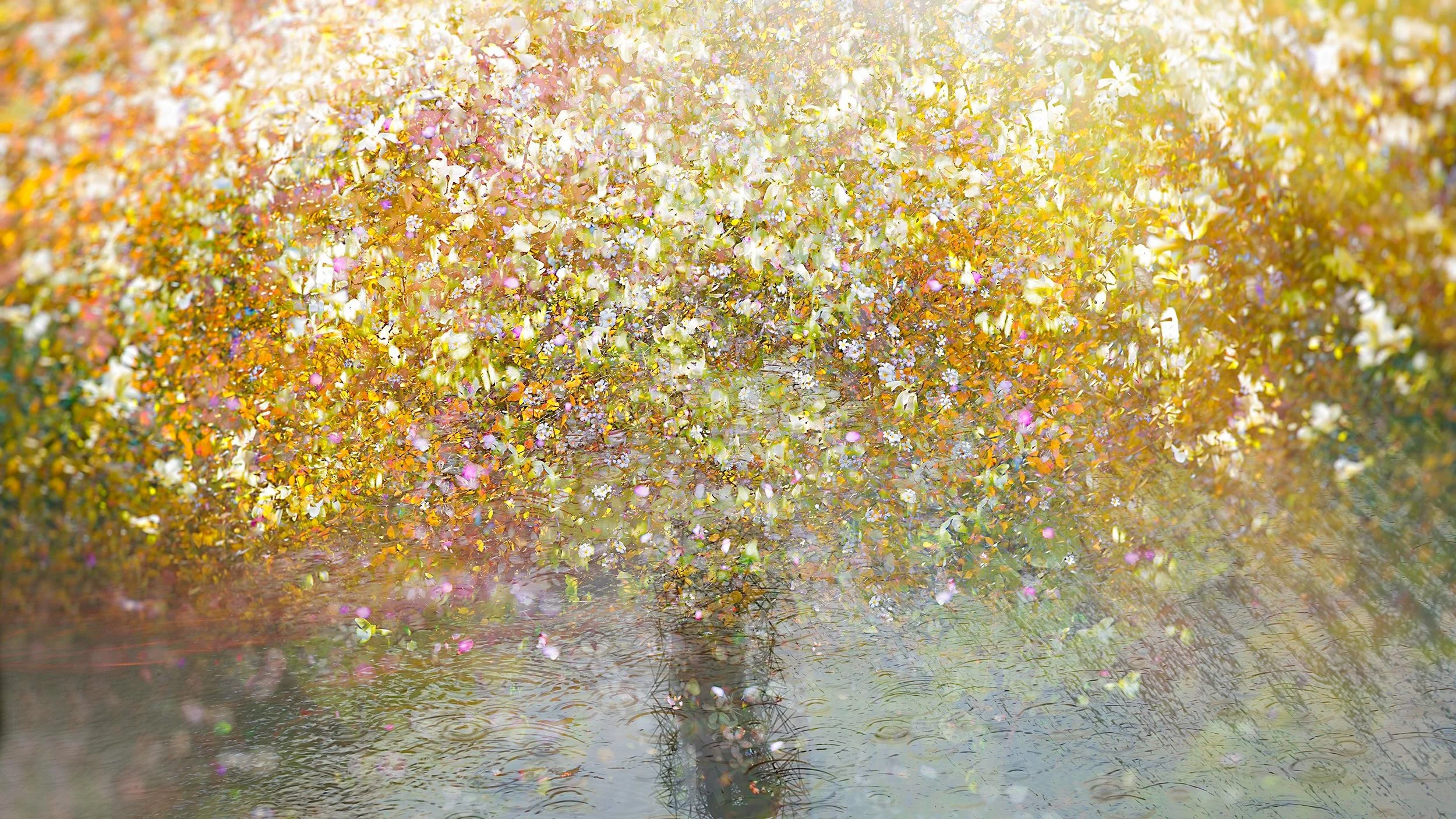 April Showers