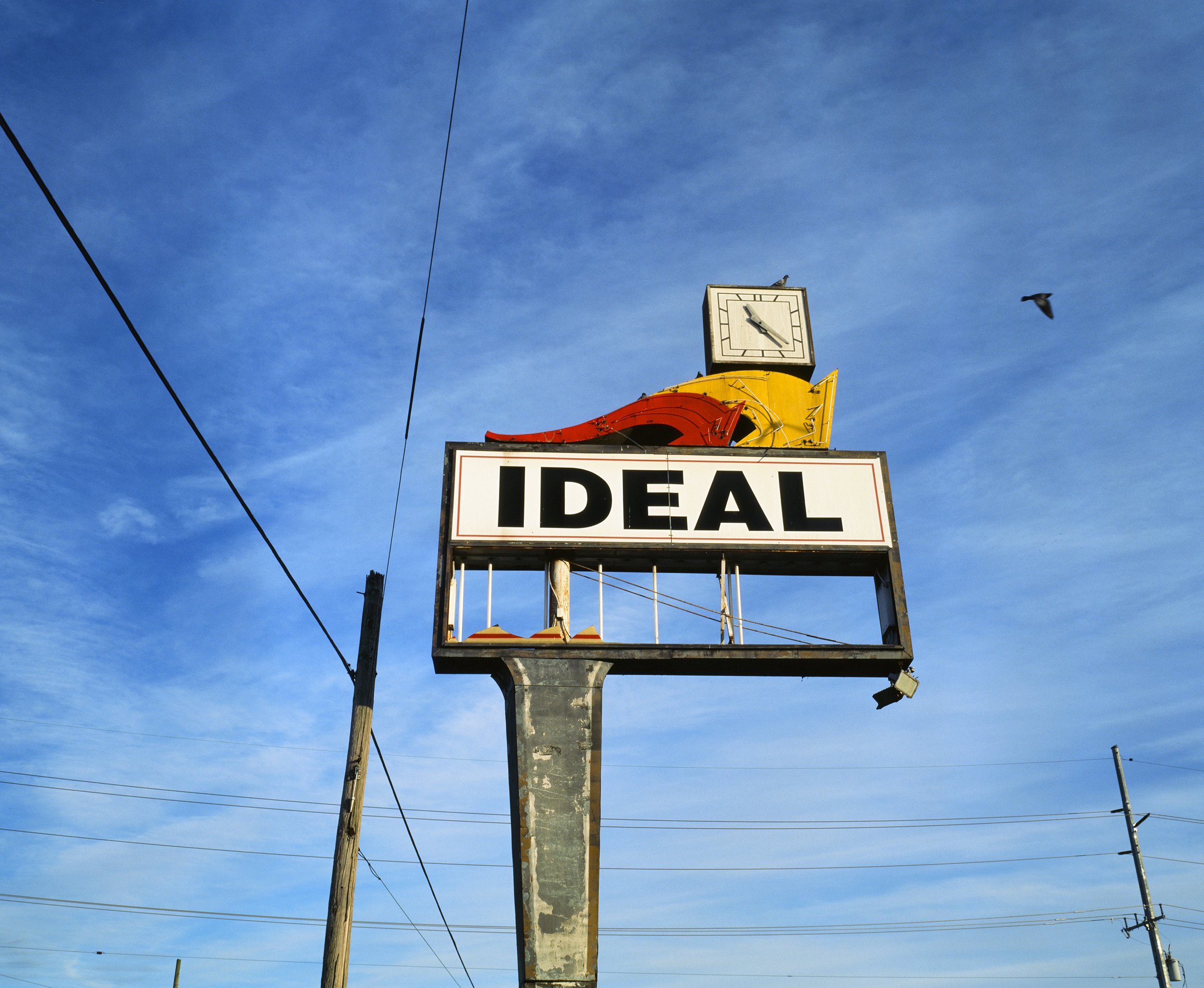 IDEAL-and-bird_no border web.jpg