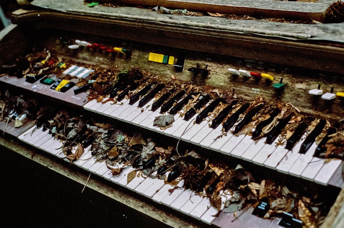 Leaves-On-Organ.jpg