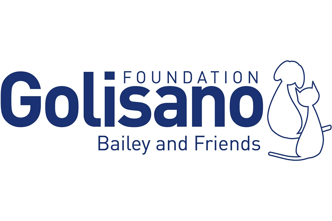 Golisano Foundation Launches Bailey and Friends to Support Animal Welfare for Cats and Dogs