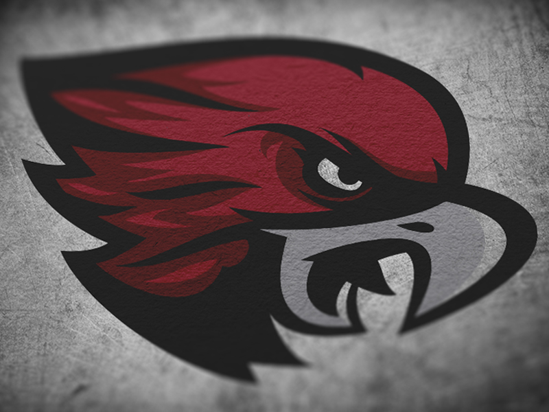 Hawk.png