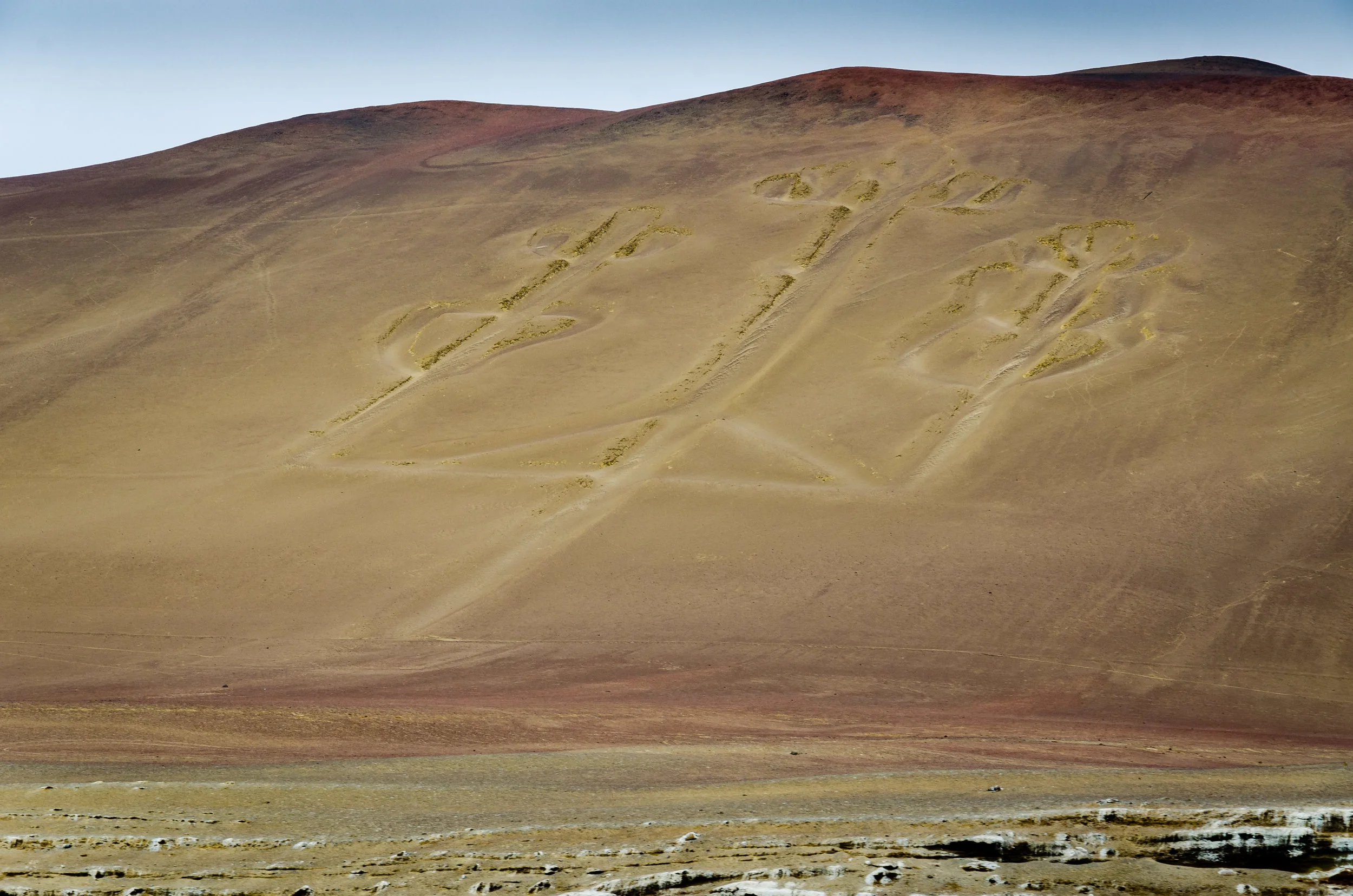 Ballestas Island (Islas Ballestas)