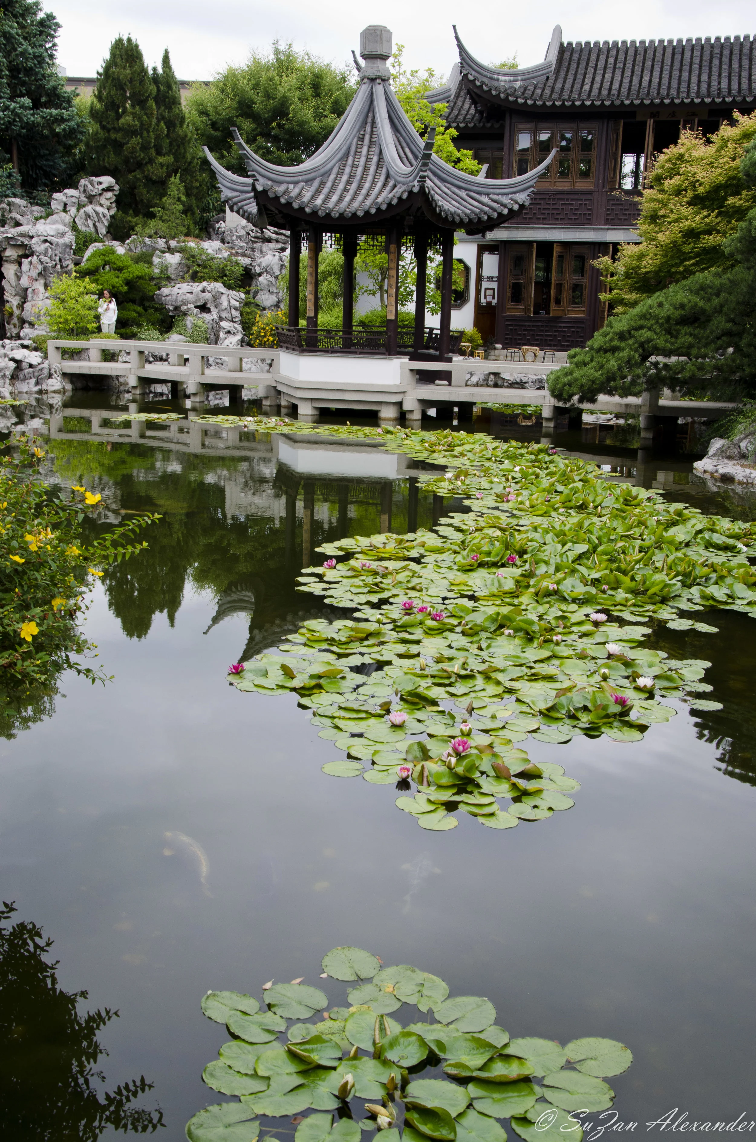 Lan Su Chinese Garden