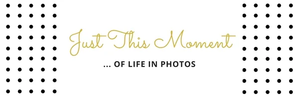 FEBRUARY 2018 - JUST THIS MOMENT