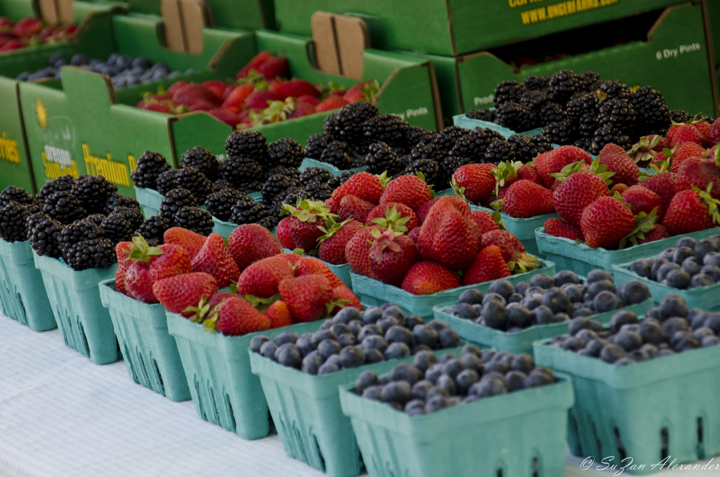 Farmers Markets