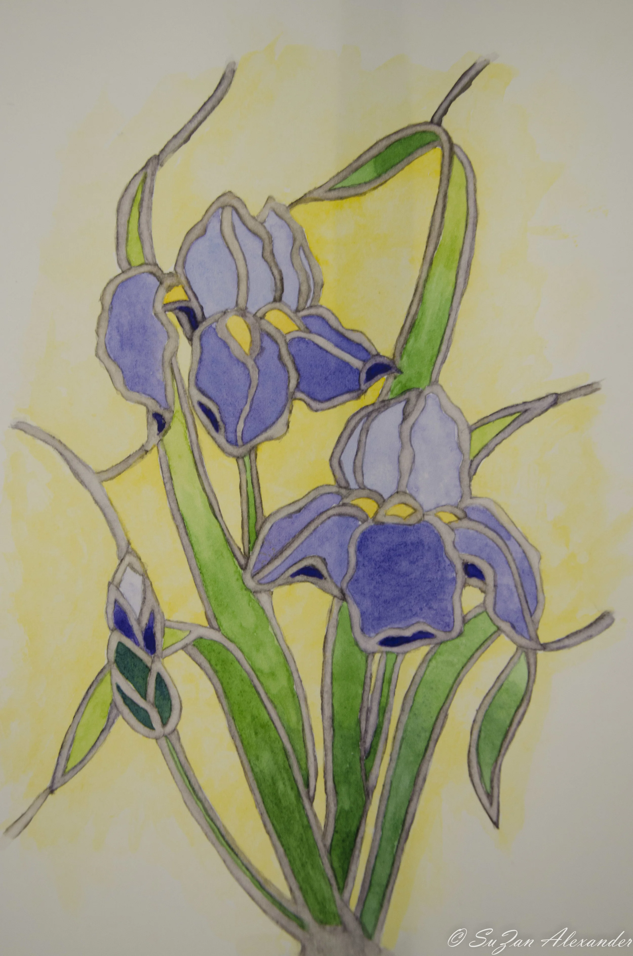 From My Sketchbook: Watercolor Project 1