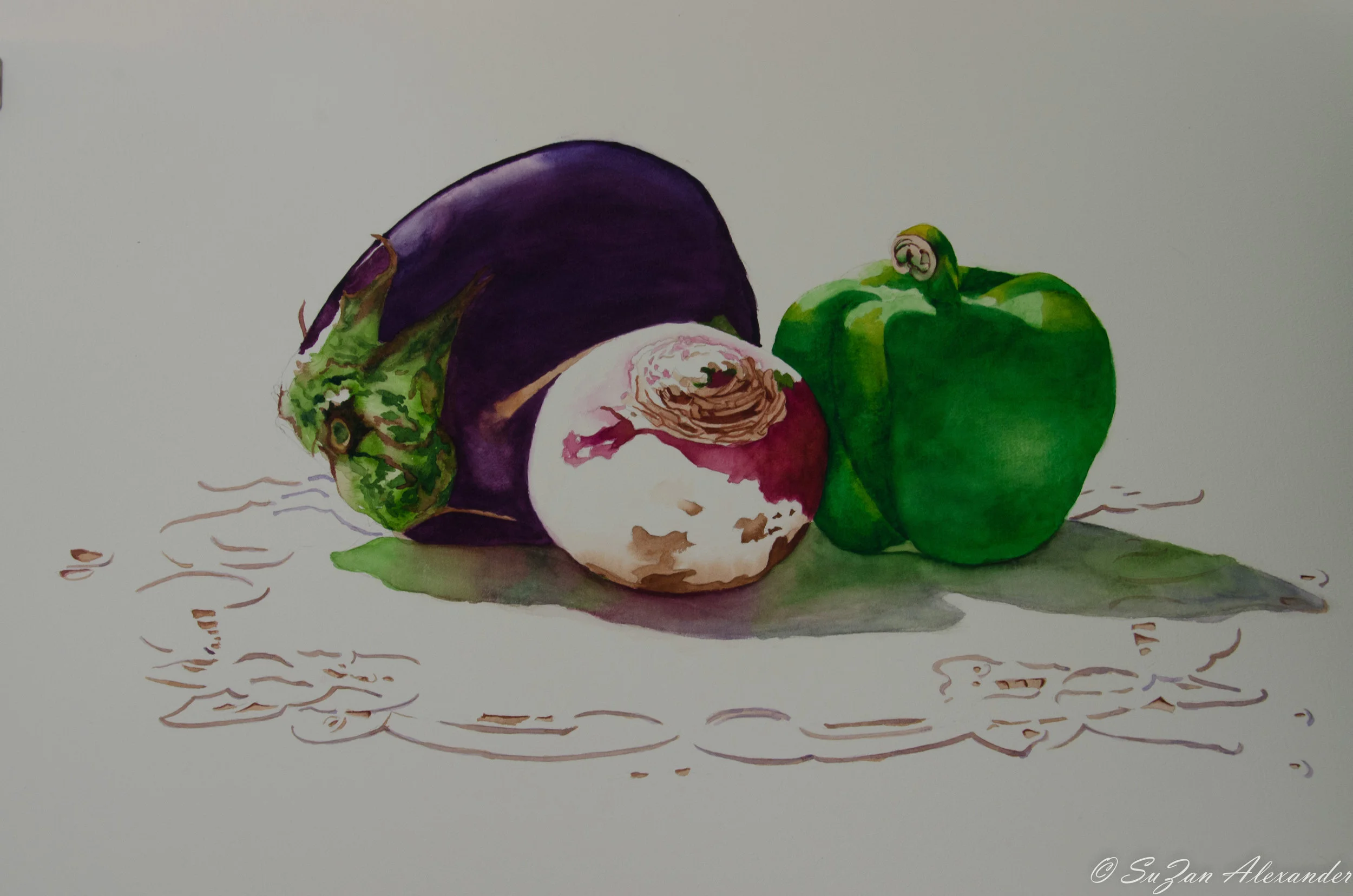 From My Sketchbook: Watercolor Project 6