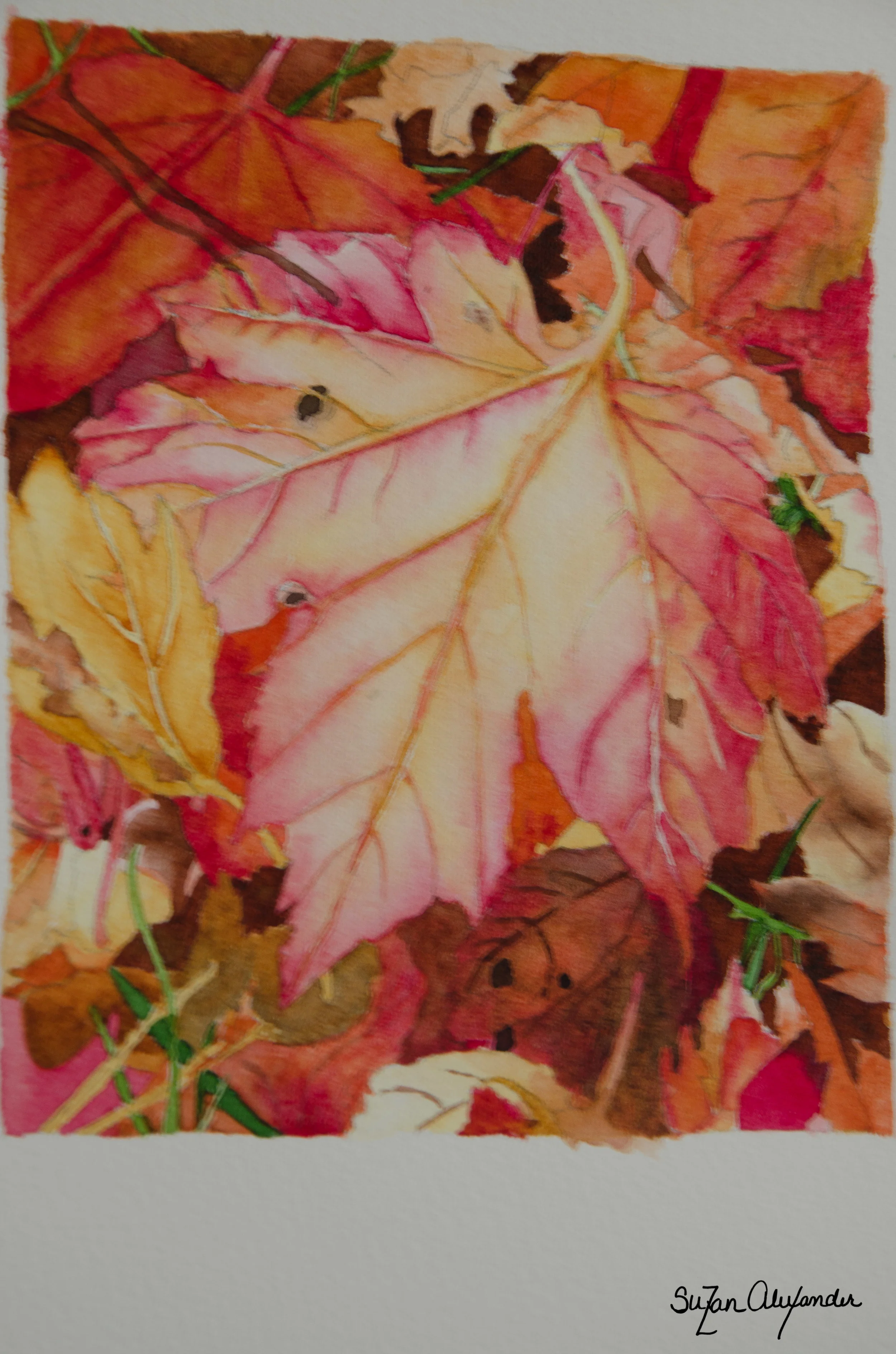 From My Sketchbook: Watercolor Project 9