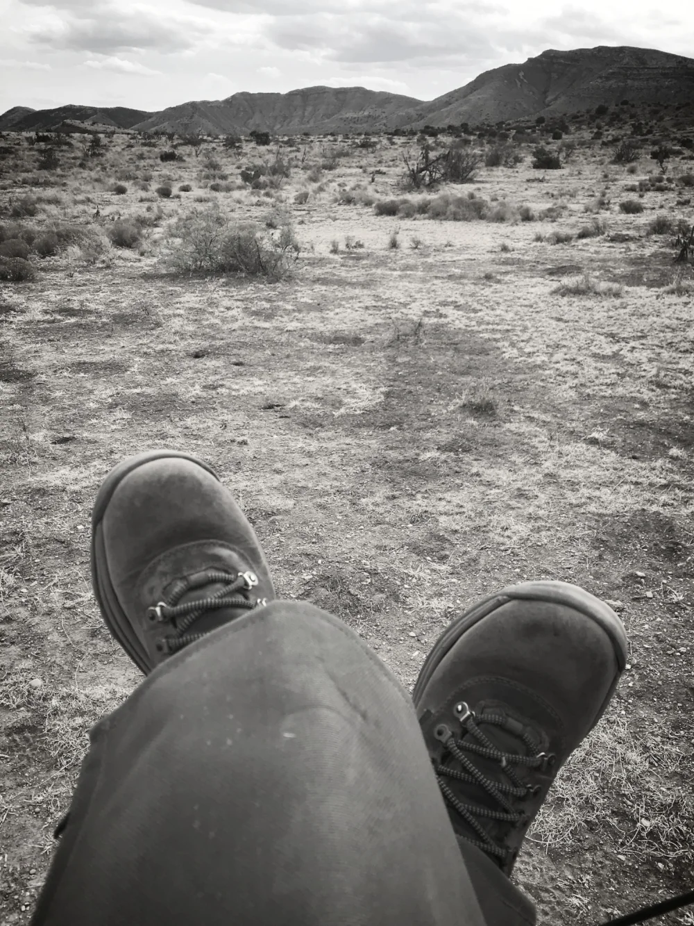 MY OFFICE FOR THE WEEK