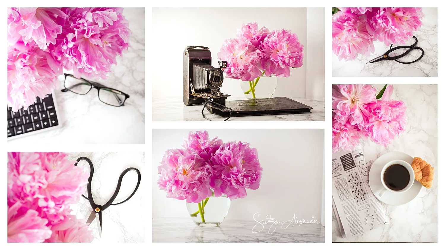 © 2018 SuZan Alexander, Pink Peonies Collage , Digital Photography.