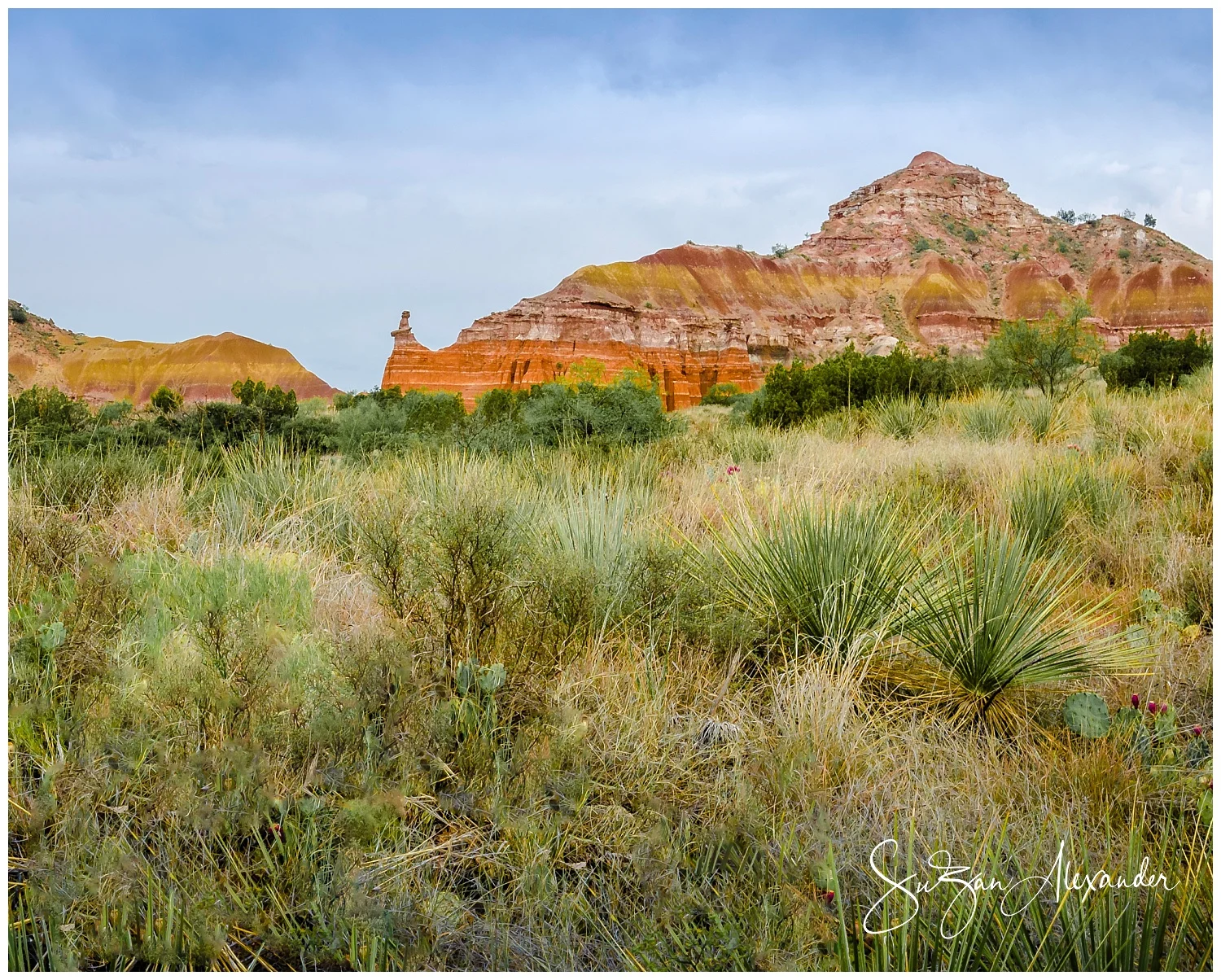 Palo Dura Canyon State Park Landscape with foreground element removed via the magic of Adobe Photoshop