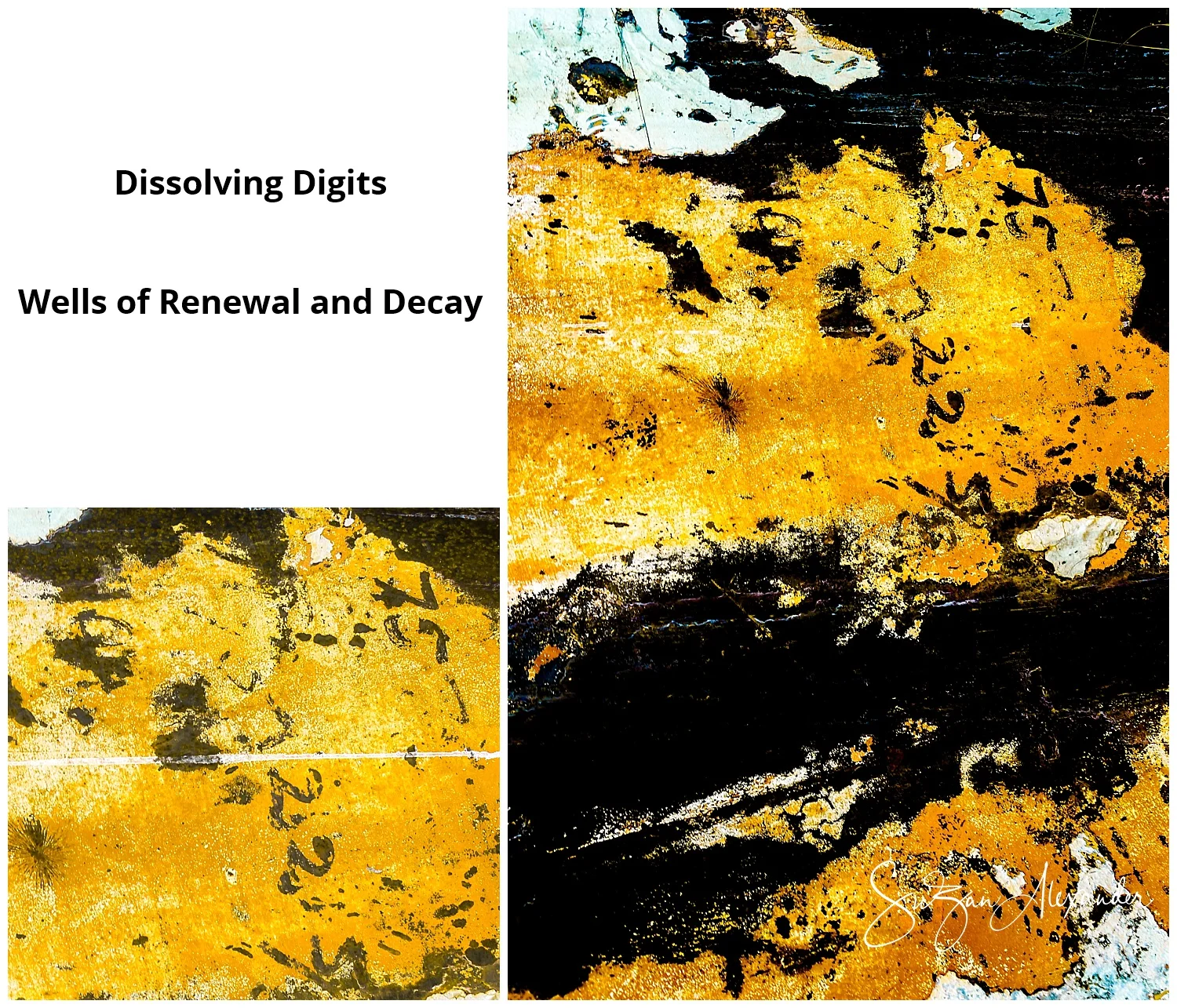 © 2015 SuZan Alexander. Dissolving Digits Collage. Digital Photography. Wells of Renewal and Decay Series.