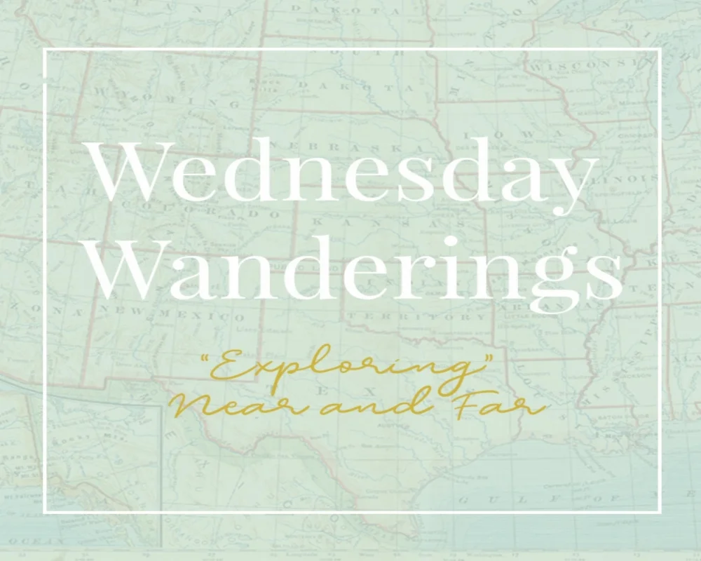 WedWanderBanner.jpg