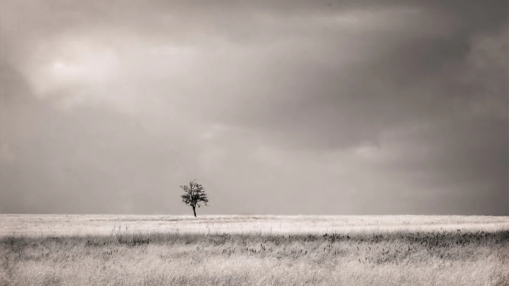 © 2019 SuZan Alexander Wishing for Rain Landscape . Digital Photography