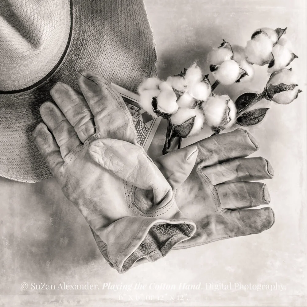 COTTON GAMBLE - GRANDPA’S GLASS PHOTOGRAPHY SERIES (Part 3)
