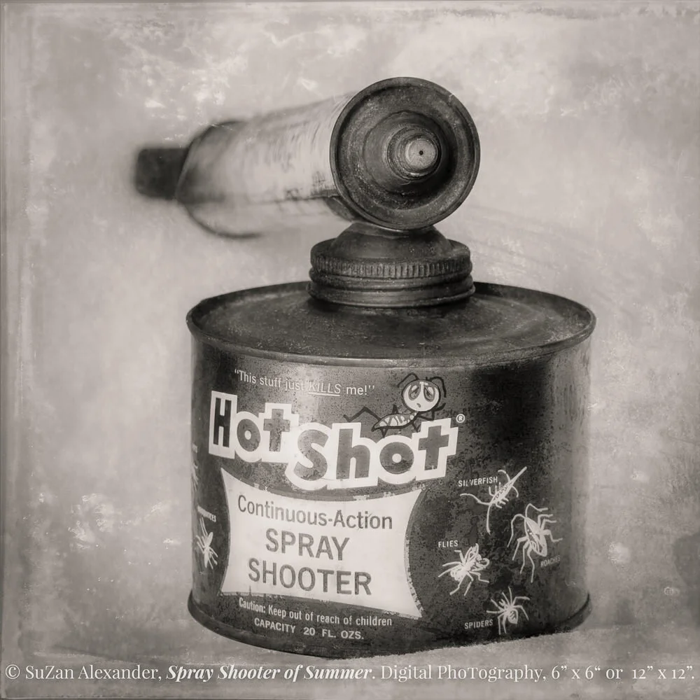 MOSQUITOES IN THE MIST - GRANDPA’S GLASS PHOTOGRAPHY SERIES (Part 4)