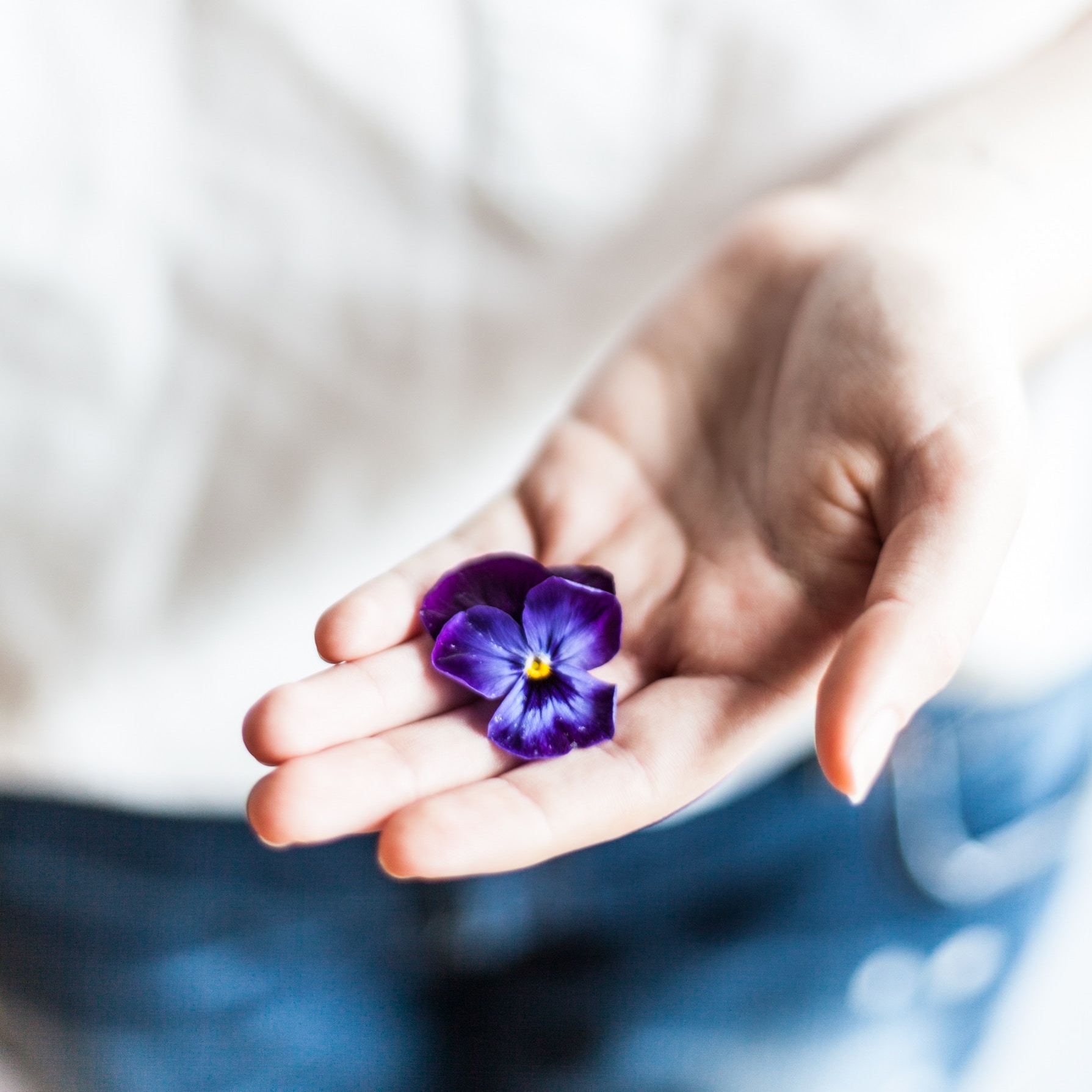 Tirtzah Sandor Health and Wellness Coach_purple flower hand copy.jpg