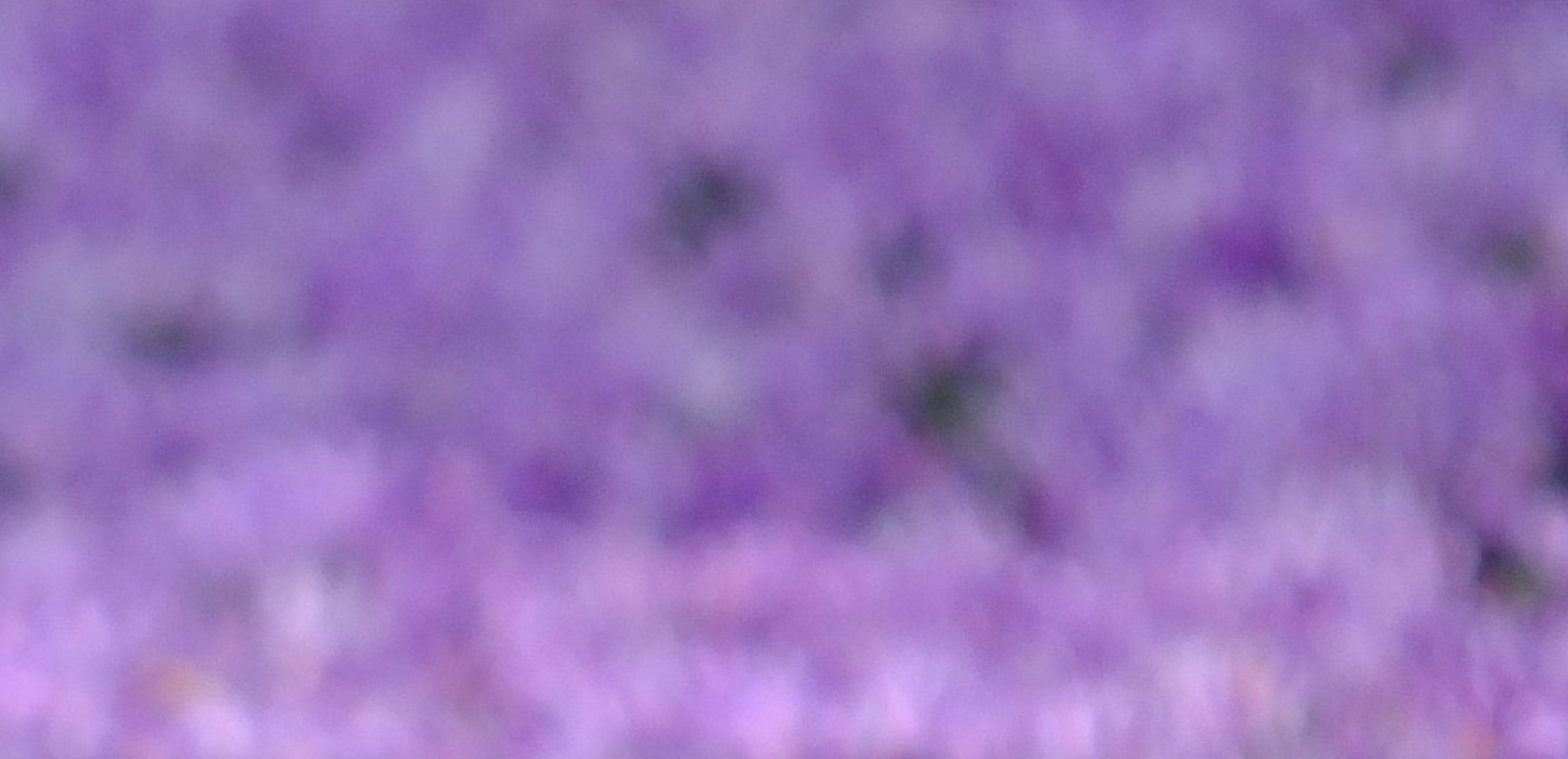 Screen Shot 2018-12-14 at 9.40.05 PM.png