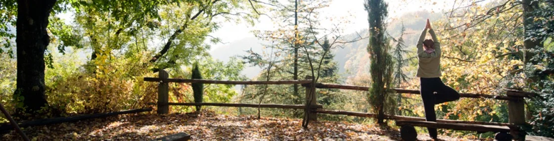 yoga banner.jpg