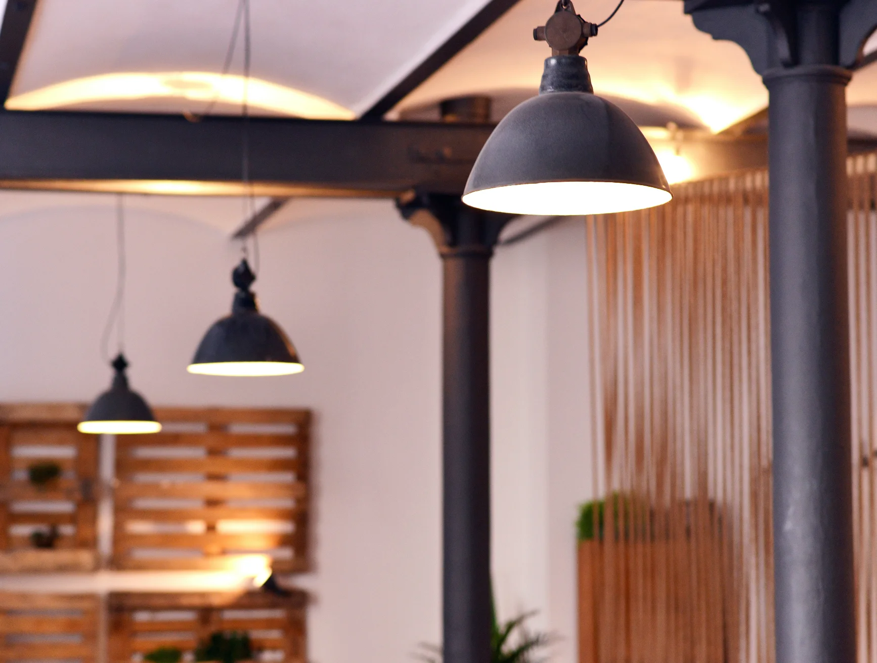 ecosia-front.jpg