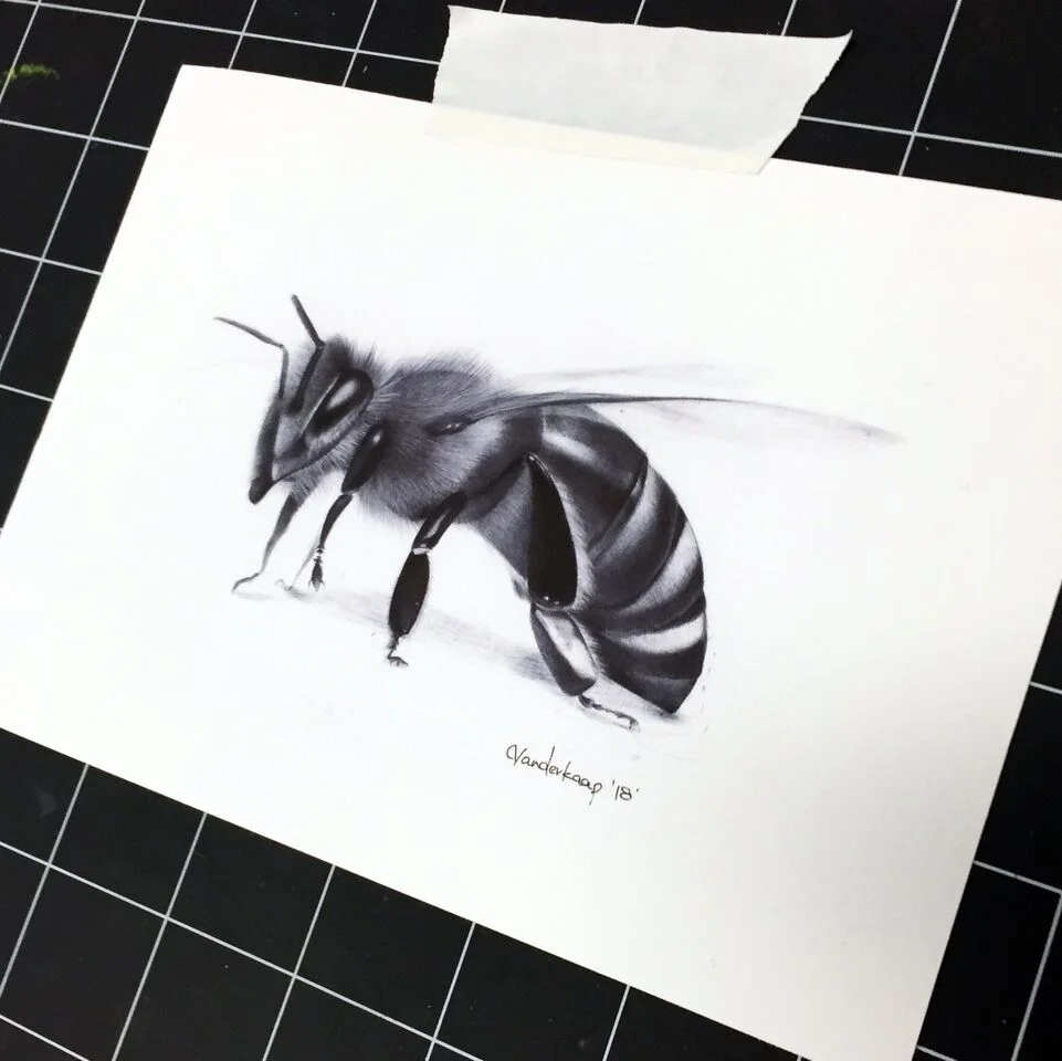 Bee