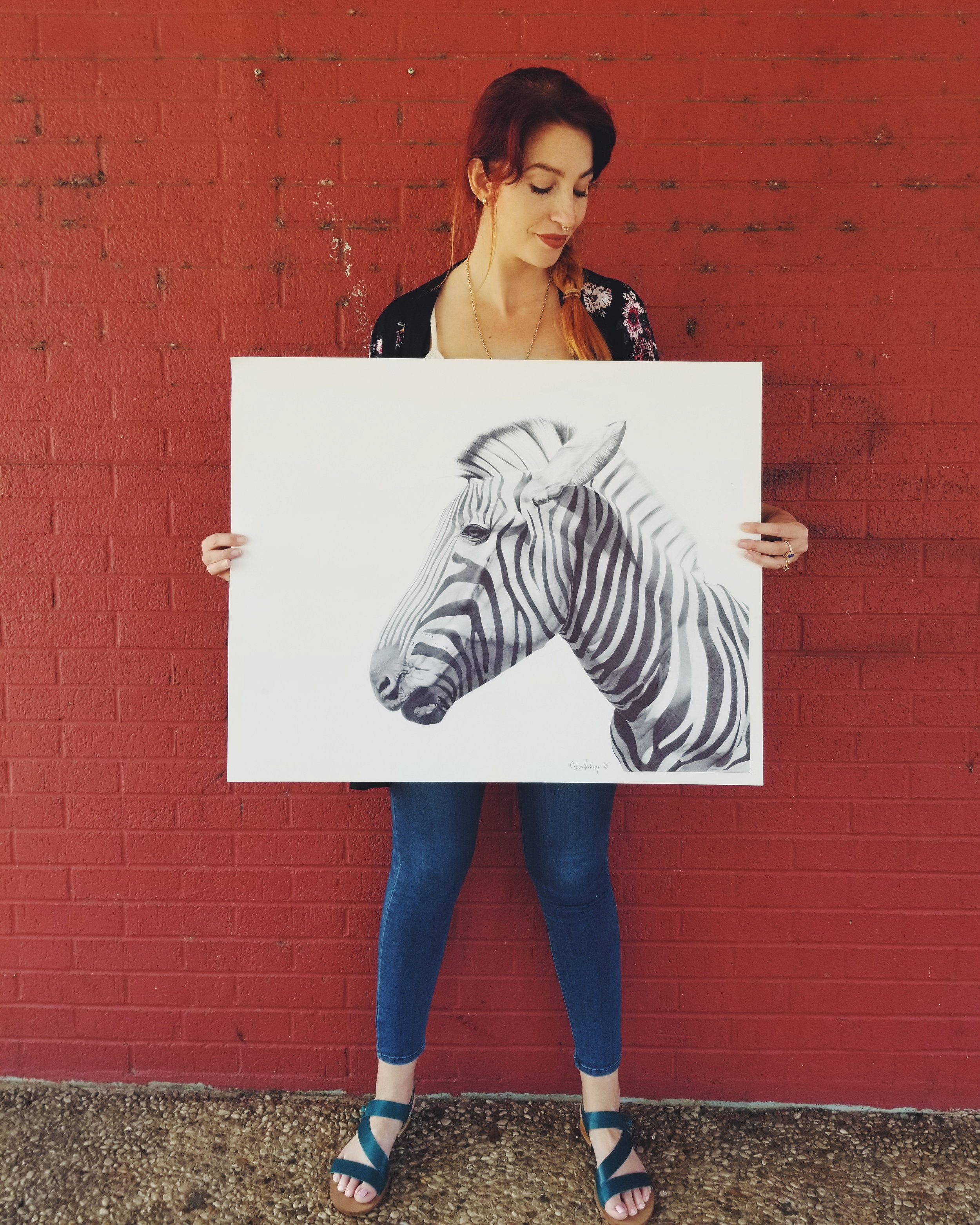 Zebra