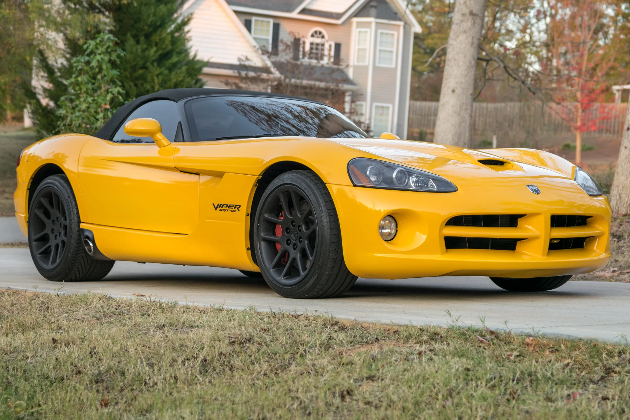 Viper.jpg