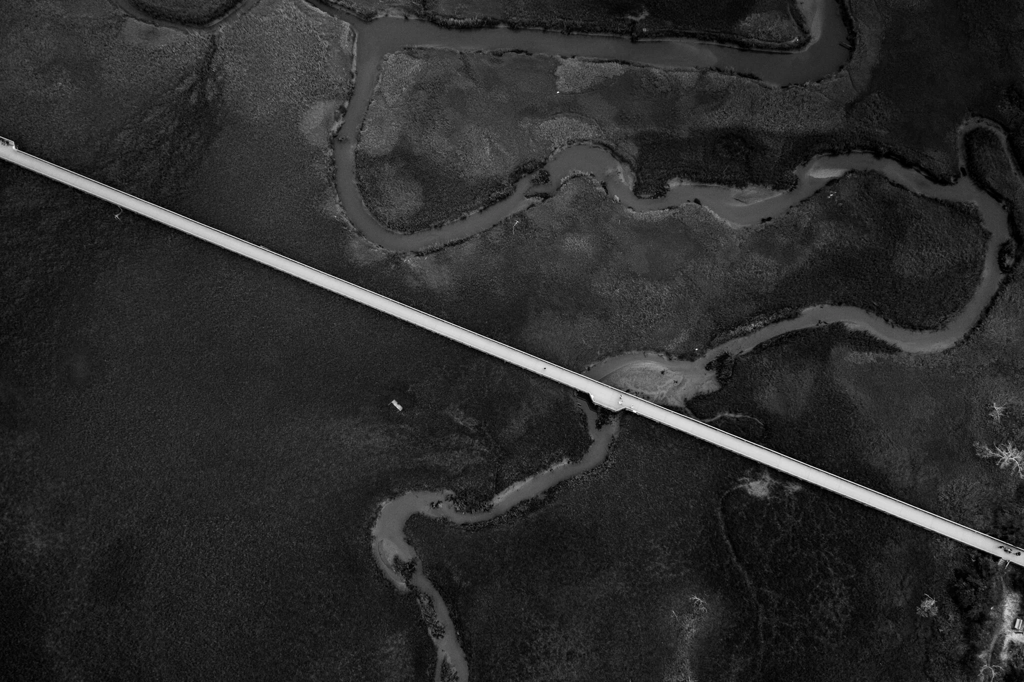 B&W Fine Art.jpg
