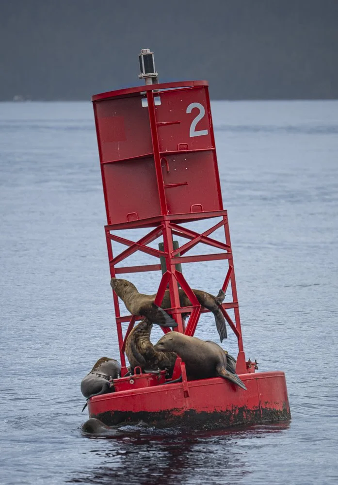 7Z8_8915-28.jpg
