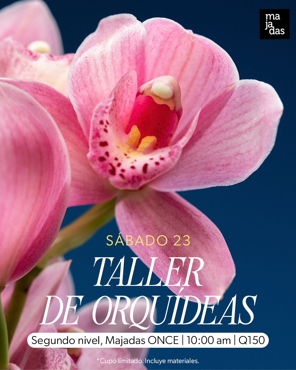 Majadas-ActividadesKV-Orquideas.png