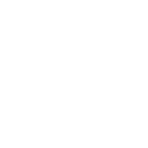 Skillets.png