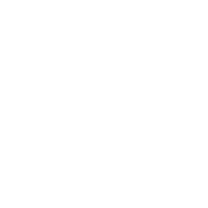 ANAIS.png