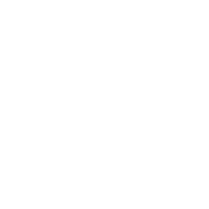RETINA-VISION.png