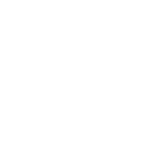FLEXI.png