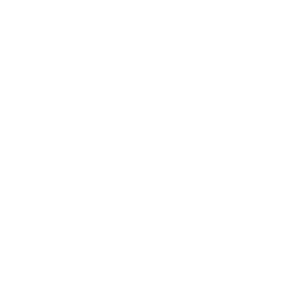 Mr. Sushi