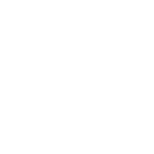 CF-MOTO.png
