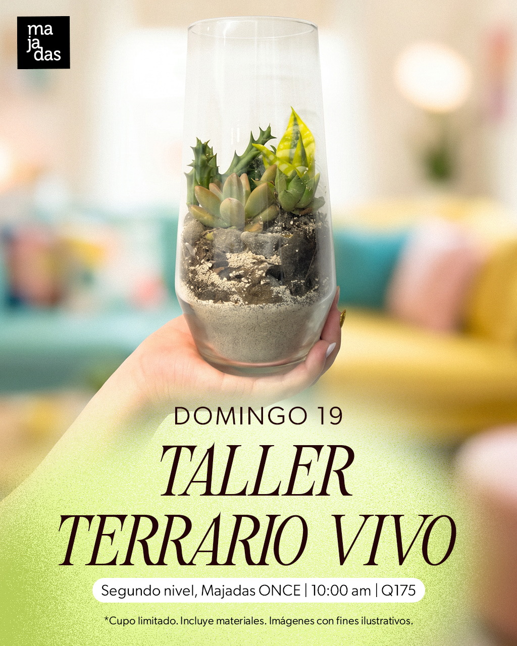 Majadas-KVActividadesJulio-Terrario.png